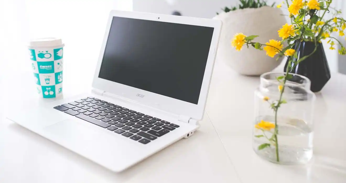 Ремонт ноутбуков Acer в Балашихе